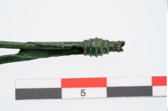 Foto von Bronzeschlangenfibel (NHMW-PRAE-024678)